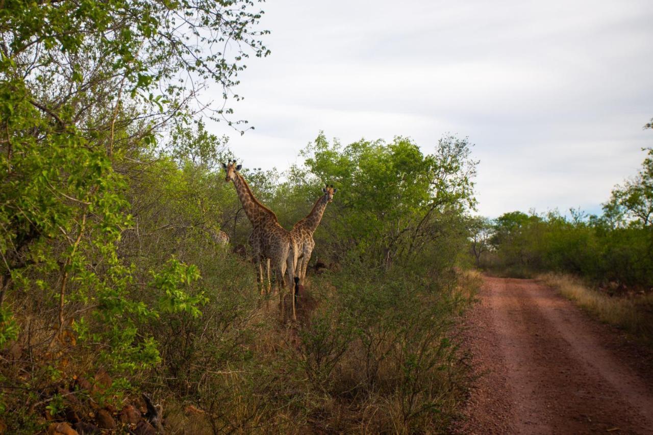 Nungu Game Lodge Lephalale Esterno foto